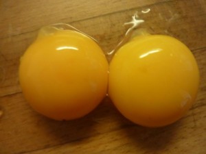 2 jaunes d’œufs pour préparer un shampooing